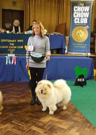 The Chow Chow Club